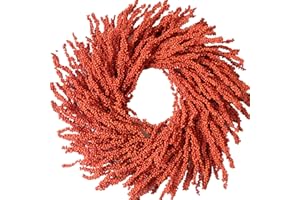 Egolot 26 Inch Fall Wreath with Orange Berries for Front Door, Autumn Festival Wreath for Indoor and Outdoor, Large Fall Wreath for Home Decoration