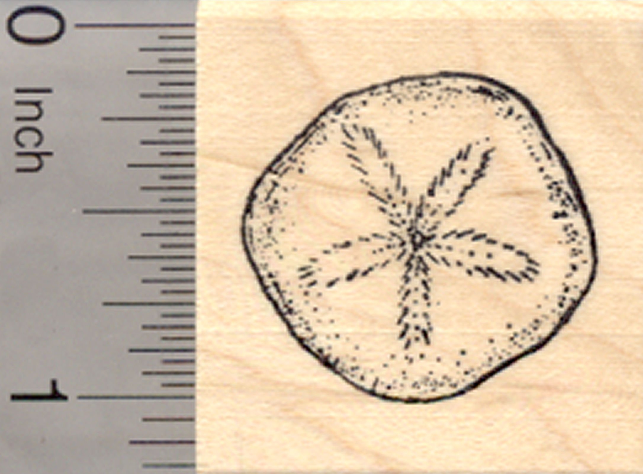Sand Dollar Rubber Stamp, Beach, Ocean, Small