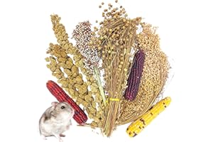Fhiny Natural Hamster Sprays Edible Hamster Bedding Air-Dried Grain Set for Habitat Decor Mice Cage Accessories for Gerbils Lemmings Parrots Rats and Other Small Animals
