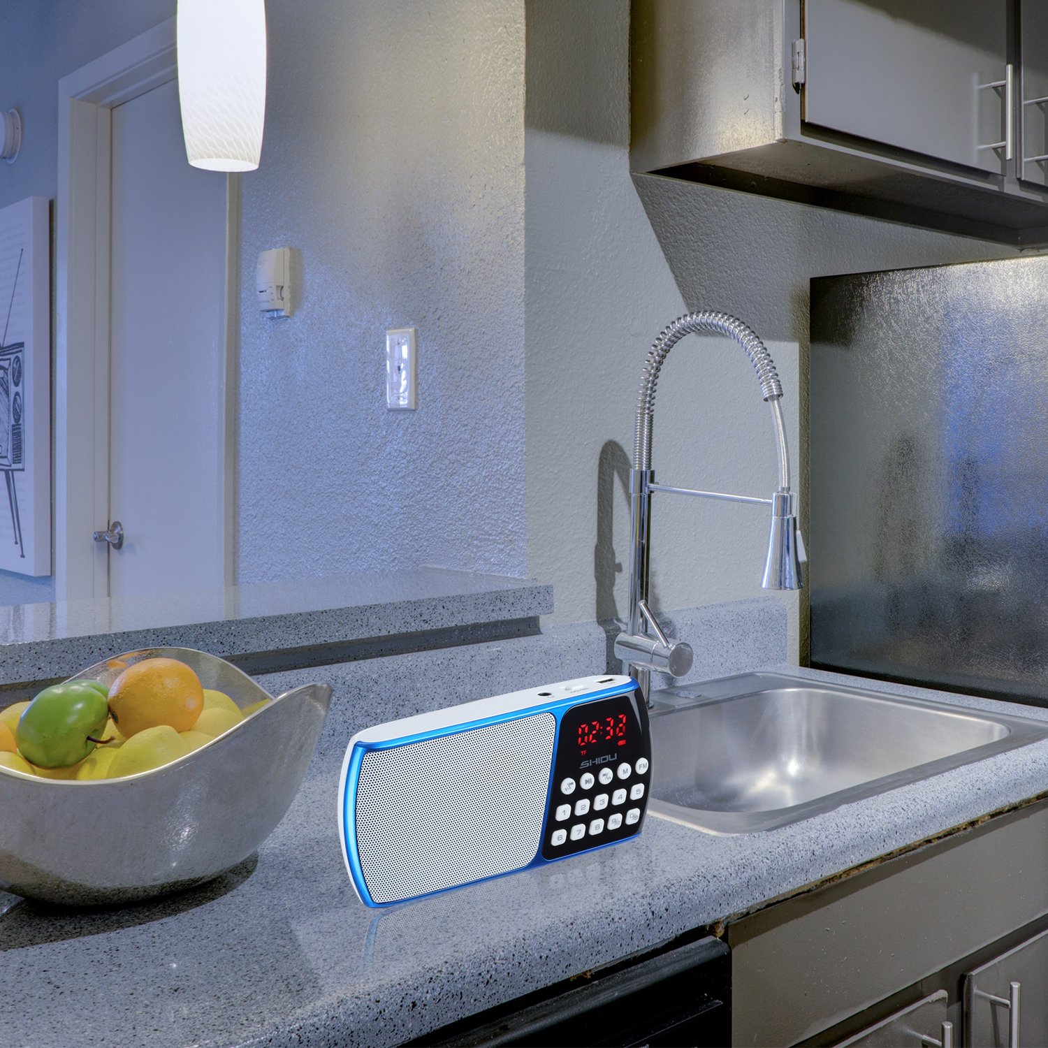 SHIDU SD-S158 Portable FM Radio with TF Card Port, Rechargeable Battery and LED Display