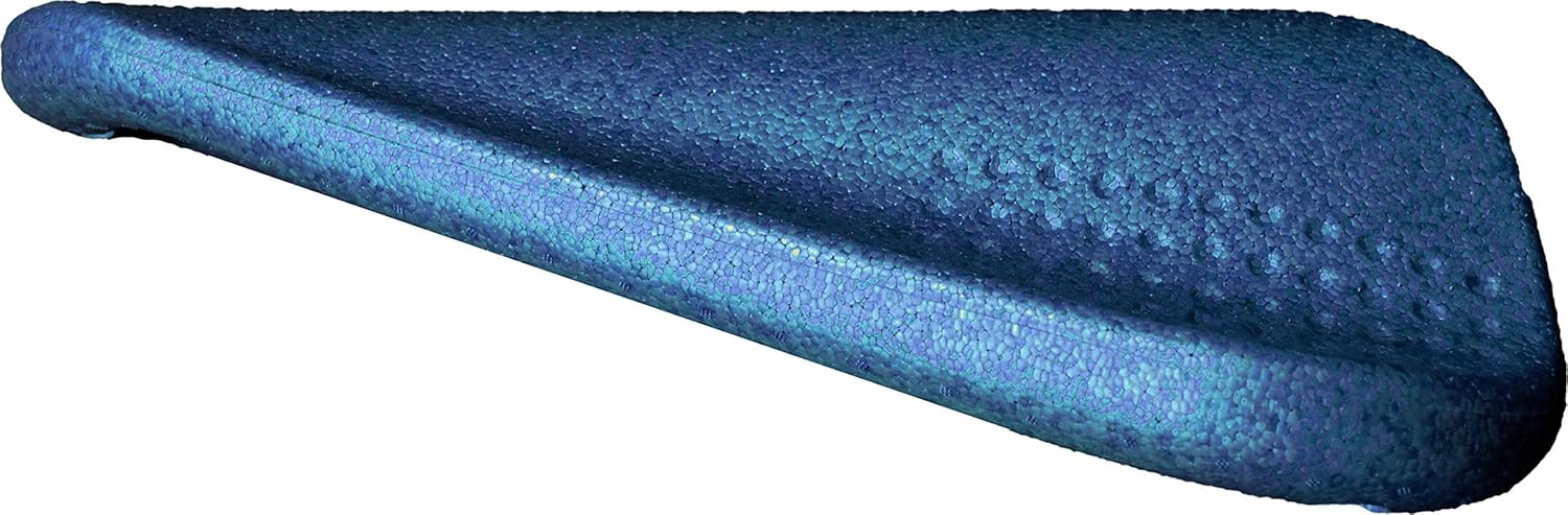 Ray-Board Kickboard (Turquoise) : Sports & Outdoors