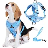 Jolifield Dog Harness Small Sized Dog Pet Vest with Leash Set Blue M | Adjustable Puppy Vest Harness, No Choke No Pull, Soft Padded, Step-in Dog Vest, Reflective Cat Harness, Breathable Air Mesh