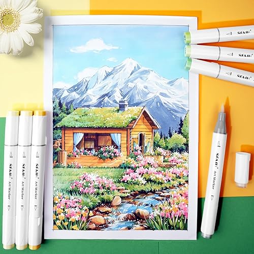SFAIH Alcohol Markers Brush Chisel 216 Colors Double Tipped Art Markers  for Adult Coloring Illustration, G
