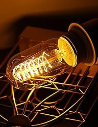 DORESshop Vintage Edison Light Bulbs, 40
