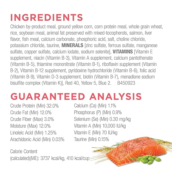 PURINA CAT CHOW COMPLETE HIGH PROTEIN DRY CAT FOOD WITH REAL SALMON – (PACK OF 4) 3.15 LB. BAGS