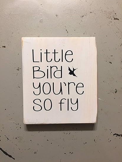 Amazon Com Wonbye Little Bird You Re So Fly Nursery Decor Baby