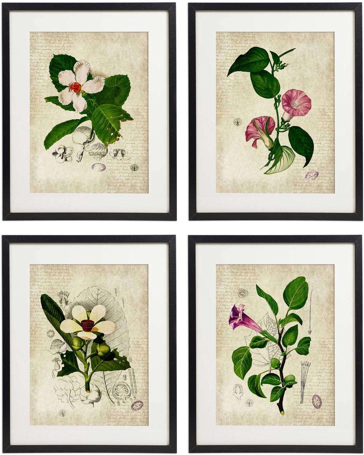 IDIOPIX Vintage Botanical Floral Print Art Home Wall Art Set of 4 Prints UNFRAMED No.3