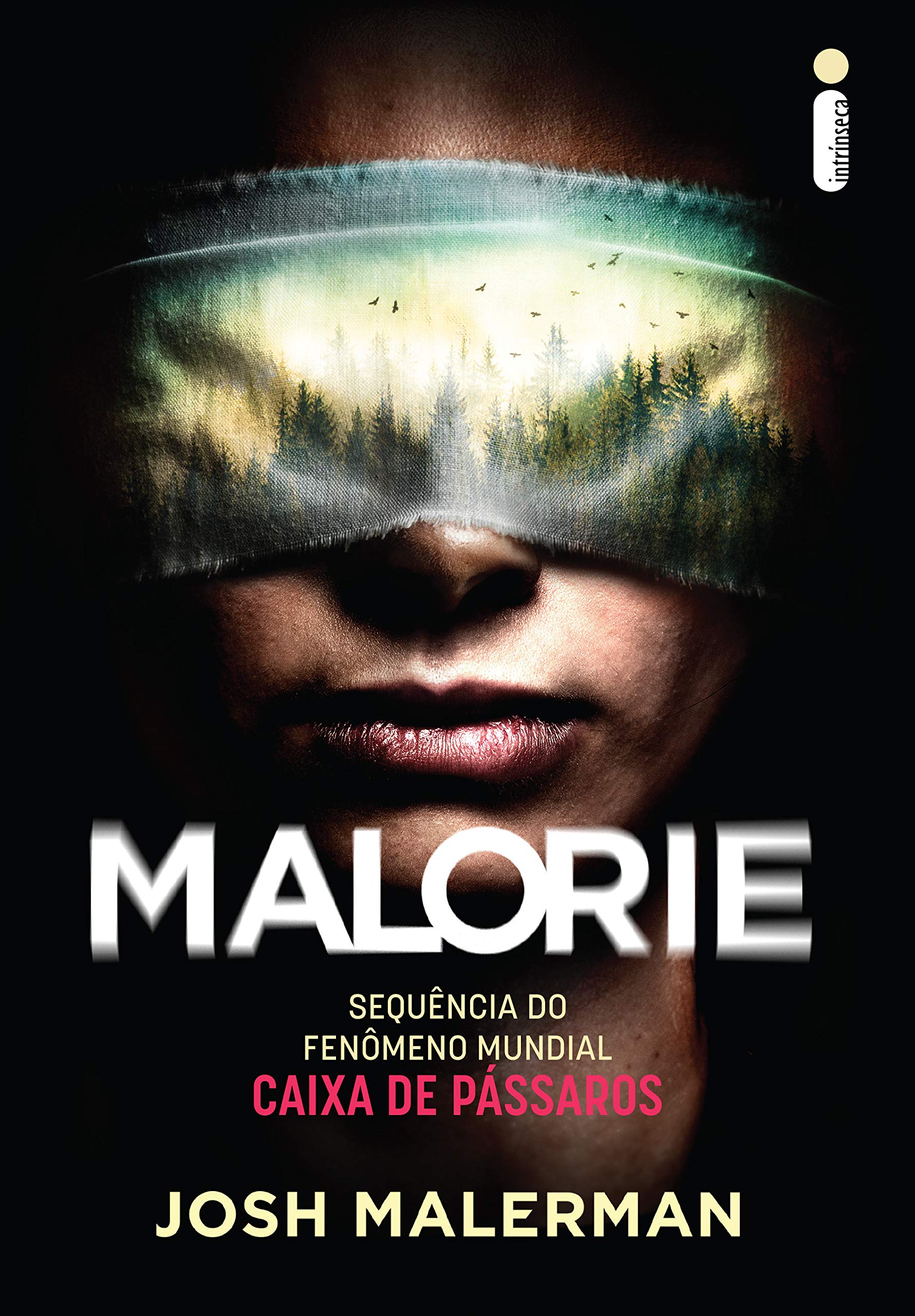 Livro 'Malorie' por Josh Malerman