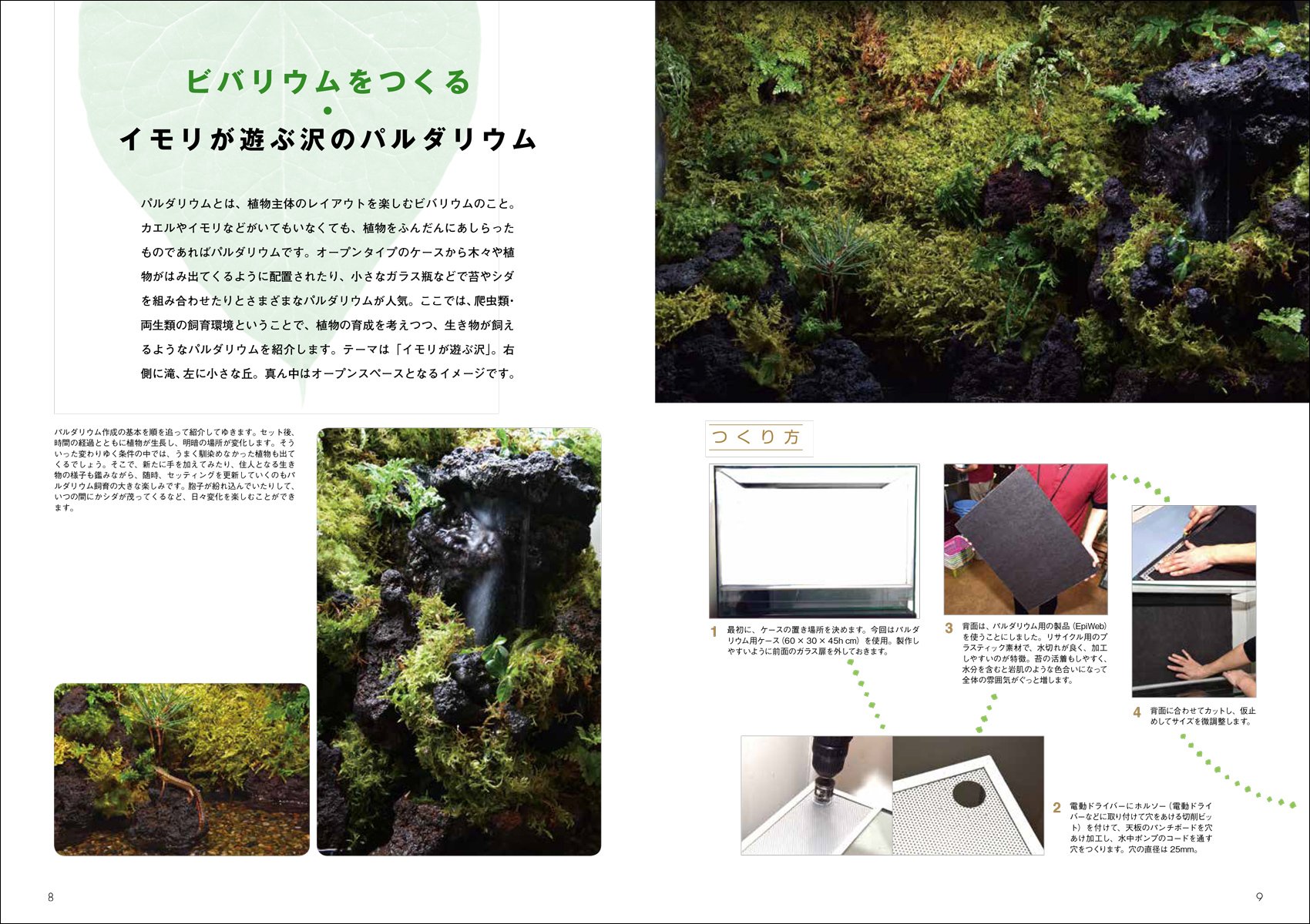 増補改訂 爬虫類 両生類の飼育環境のつくり方 生息地の環境からリアルな生態を読み解く 純 松園 宣広 川添 本 通販 Amazon