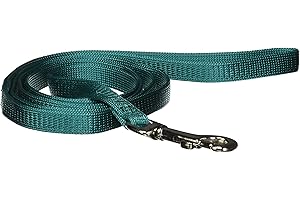 Hamilton Snag Proof Nylon Cat Leash with Swivel Snap, Teal, 3/8" x 4'