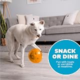 Outward Hound Snoop Durable Interactive Treat Dispensing Toy Large Orange view 7
