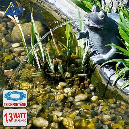 Gartenbrunnen Solar Brunnen Solarteichpumpe Solar Springbrunnen Solar Wasserspiel Froschkonig Zierbrunnen Frosch Vogelbad Solar Pumpe Solar Teichpumpe Solar Set Fur Garten Teich Terrasse Amazon De Garten