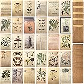 Vintage Style Postcard and Envelope Set Floral Retro Plant Butterfly Vintage Memories Letter Plant Music Postcard