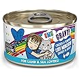 Weruva B.F.F. OMG - Best Feline Friend Oh My Gravy!, Love Munchkin! with Chicken & Pumpkin in Gravy Cat Food, 2.8oz Can (Pack of 12)