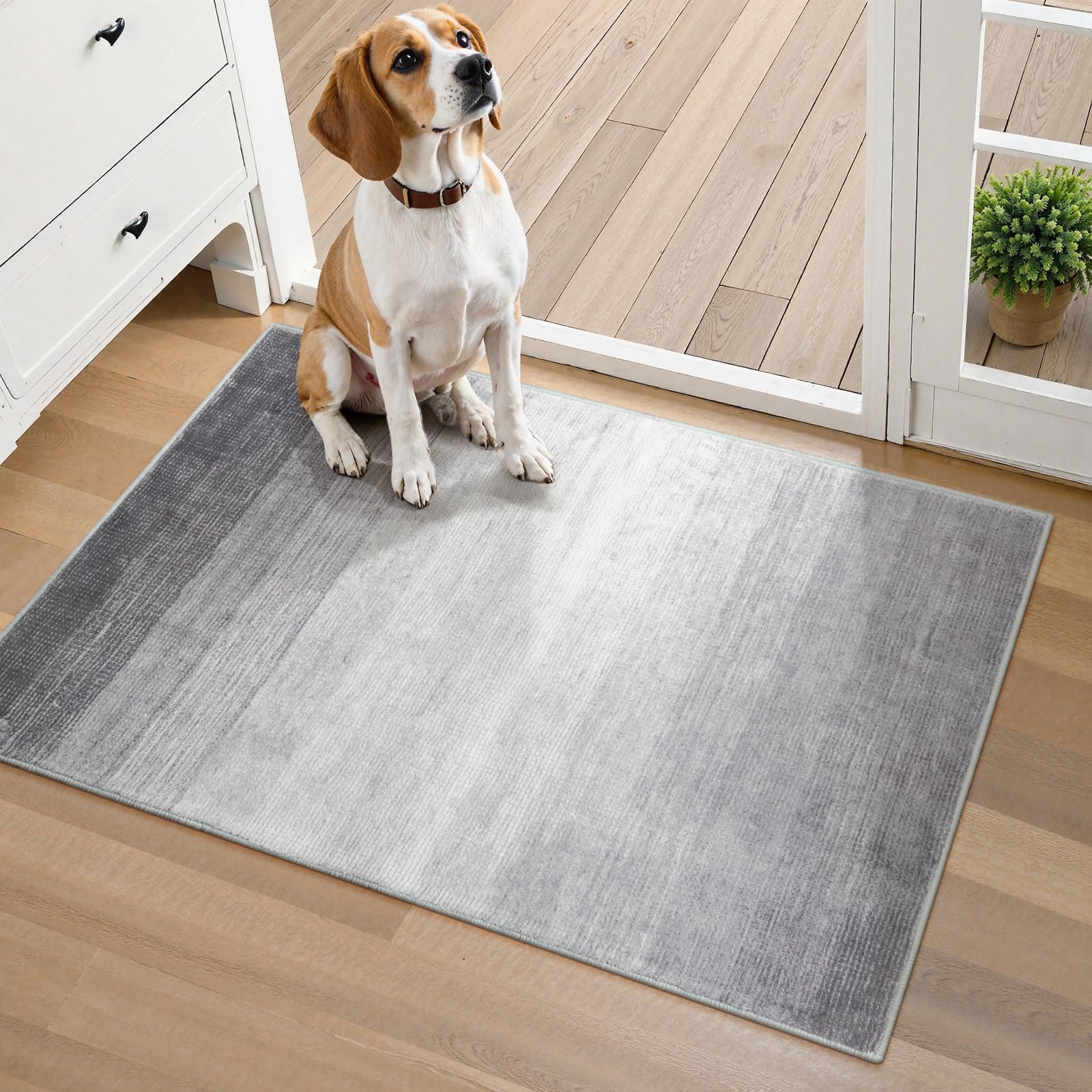 Photo 1 of Wonnitar Modern Ombre Small 2x3 Entryway Rug, Washable Grey Front Door Mat, Non-Slip Contemporary Kitchen Accent Mat Gradient Faux Wool Indoor Floor Carpet for Bathroom Bedside Entrance (Grey, 2'x3')