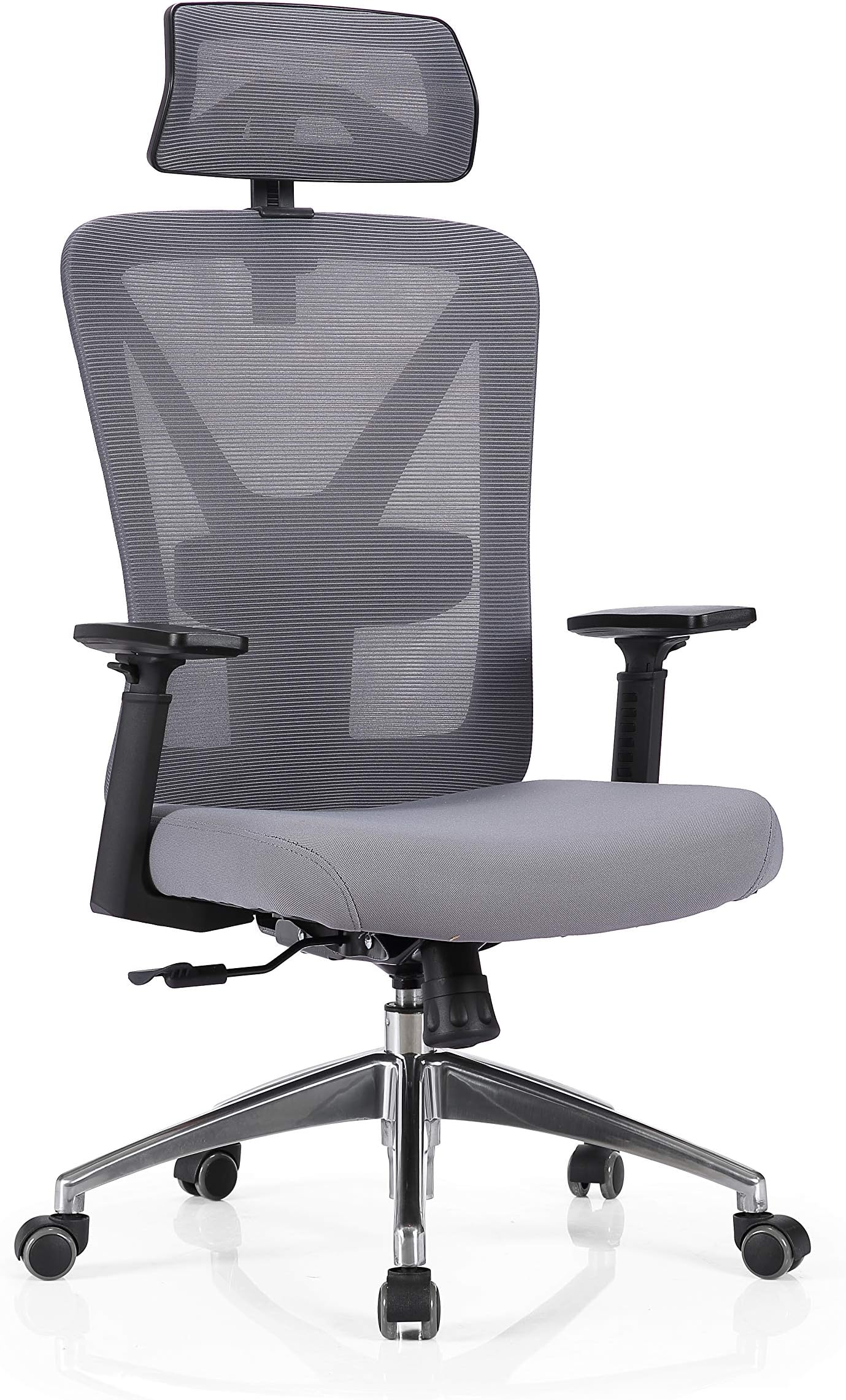 Nordhold Ergonomic Mesh Home Office Chair. Adjustable Headrest, superb Back Support, Durable, Black Skadi (Grey)