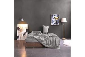 THXSILK 100% Mulberry Silk Duvet Cover, 7A+ Top Grade Silk Comforter Cover, High End Collection Down Comforter Quilt Cover with Zipper Closure - Seamless, Ultra Soft, Durable, Twin Size, Grey