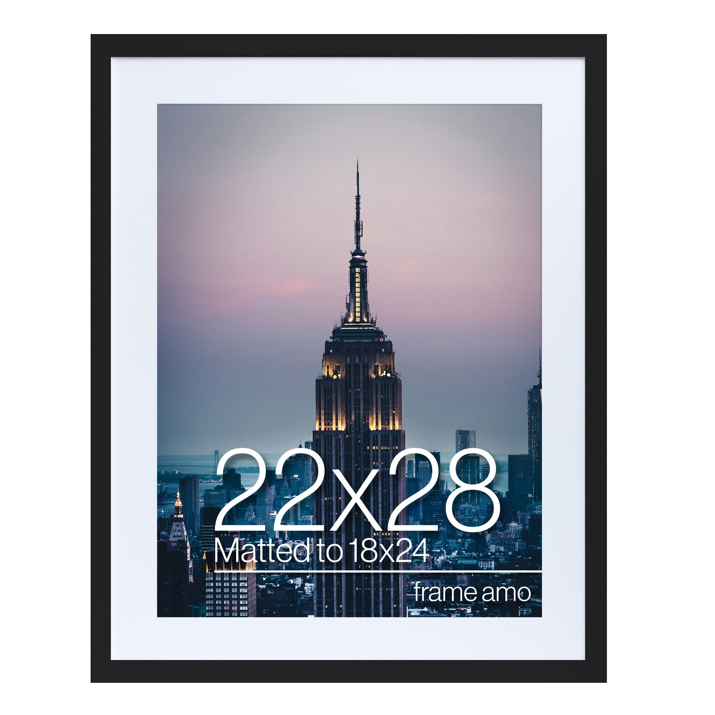 Frame Amo 22x28 Black Picture Frame with 17.5x23.5