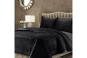 Tribeca Living Velvet King Quilt Set, Three-Piece Box Stitch Bedding, Includes Oversized Quilt & Two Shams, 260GSM Super Soft Velvet, Black