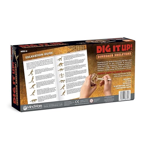 MindWare Dig It Up! Dinosaur Skeleton Eggs Excavation kit Comes