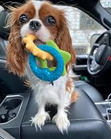 Nylabone Gentle Puppy Teething Rings Bacon Flavor Small up to 11 kg view 7