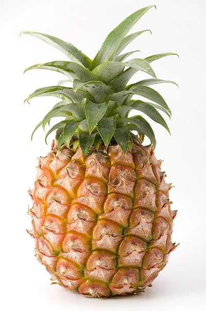 Amazon 大阪北商事 産地直送輸入 台湾応援します 台湾産 パイナップル 金鑽パイン パイン 10kg 完熟 糖度18度 高糖度の時 個体差ございます 残留農薬0 大阪北商事 パイナップル 通販