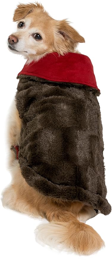 friends forever dog sweater