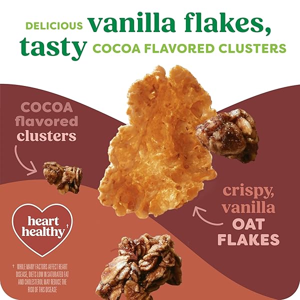 KASHI BREAKFAST CEREAL, ORGANIC, WHOLE GRAIN, COCOA CLUSTERS, 17.2OZ BOX (1 BOX)