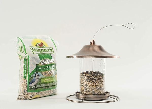 WAGNER’S 52003 CLASSIC BLEND WILD BIRD FOOD, 6-POUND BAG
