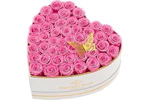 Eterfield Forever Flowers in Heart Shape Box, Preserved Roses That Last a Year Preserved Flowers Birthday for Her Mom Women Wife Valentine's Day Mother's Day (47 Roses, Pink)