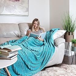 Clara Clark Cut Plush Blanket - Queen Size