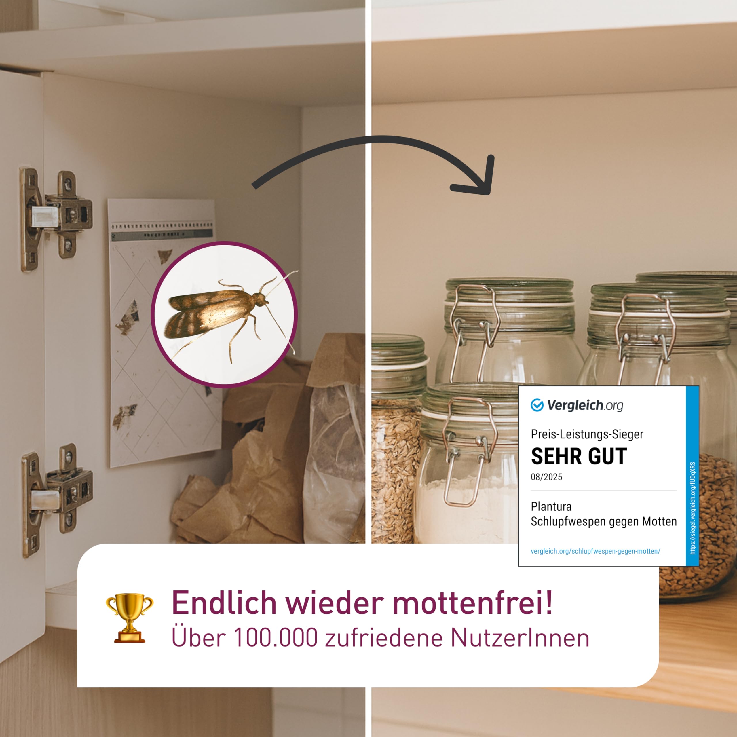 Plantura Schlupfwespen gegen Lebensmittelmotten, 9 Karten 2