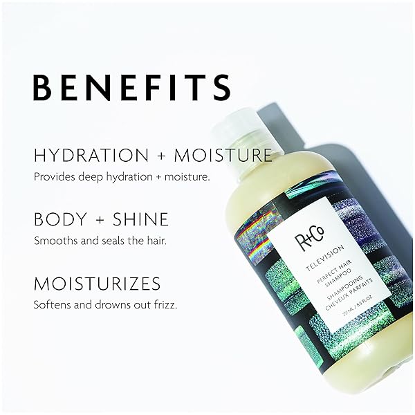 R+CO TELEVISION PERFECT HAIR SHAMPOO | BODY + SHINE + SMOOTHING FOR ALL HAIR TYPES | VEGAN + CRUELTY-FREE |
