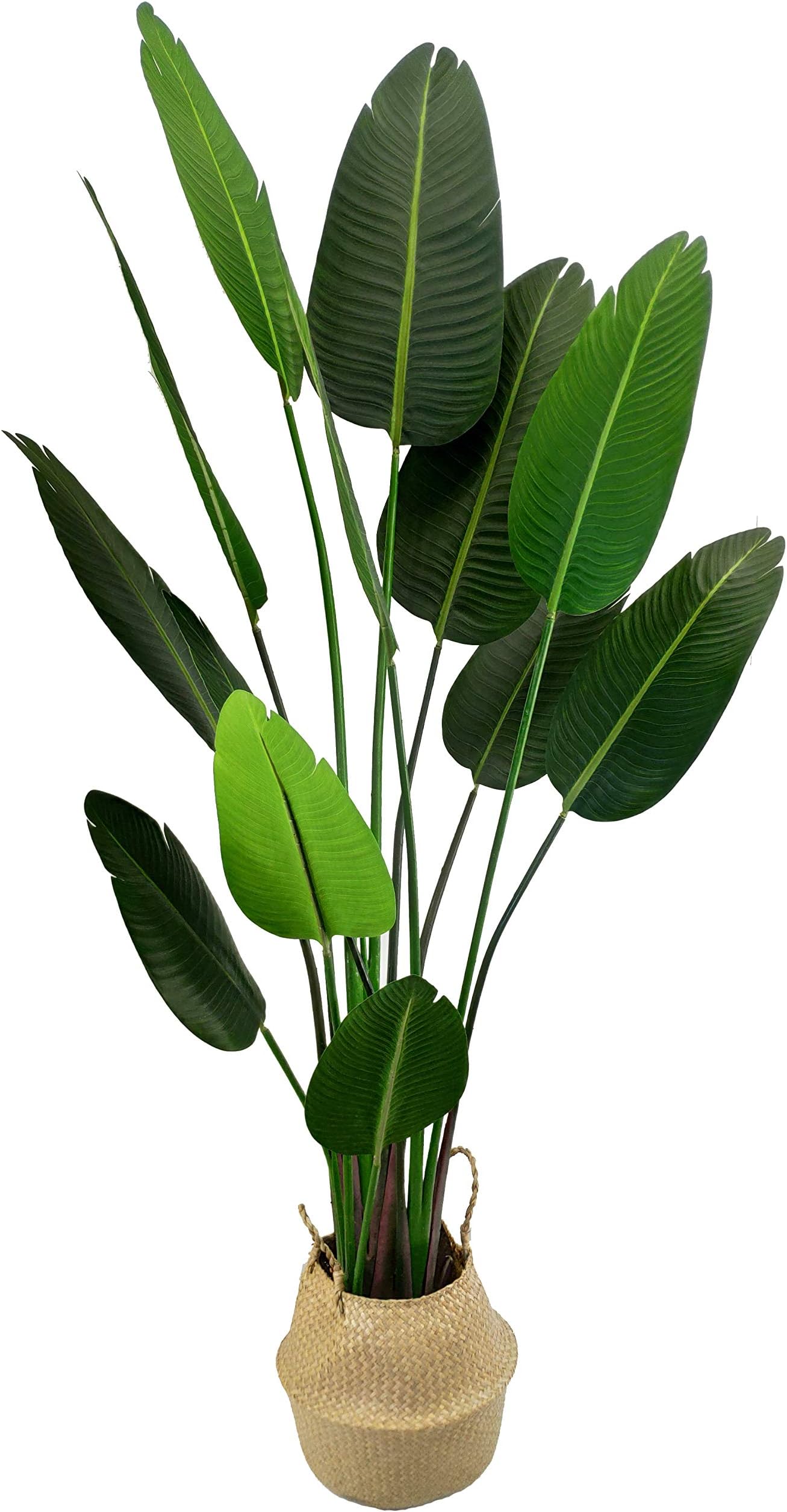 UNIQUE FOREST ARTS Artificial Silk Bird of Paradise Palm Tree Potted Tree Artificial Travelers Tree, Artificial Silk Plant,Artificial Trees Belly Basket 6-Feet, Green (Size:75" high 41" Wide