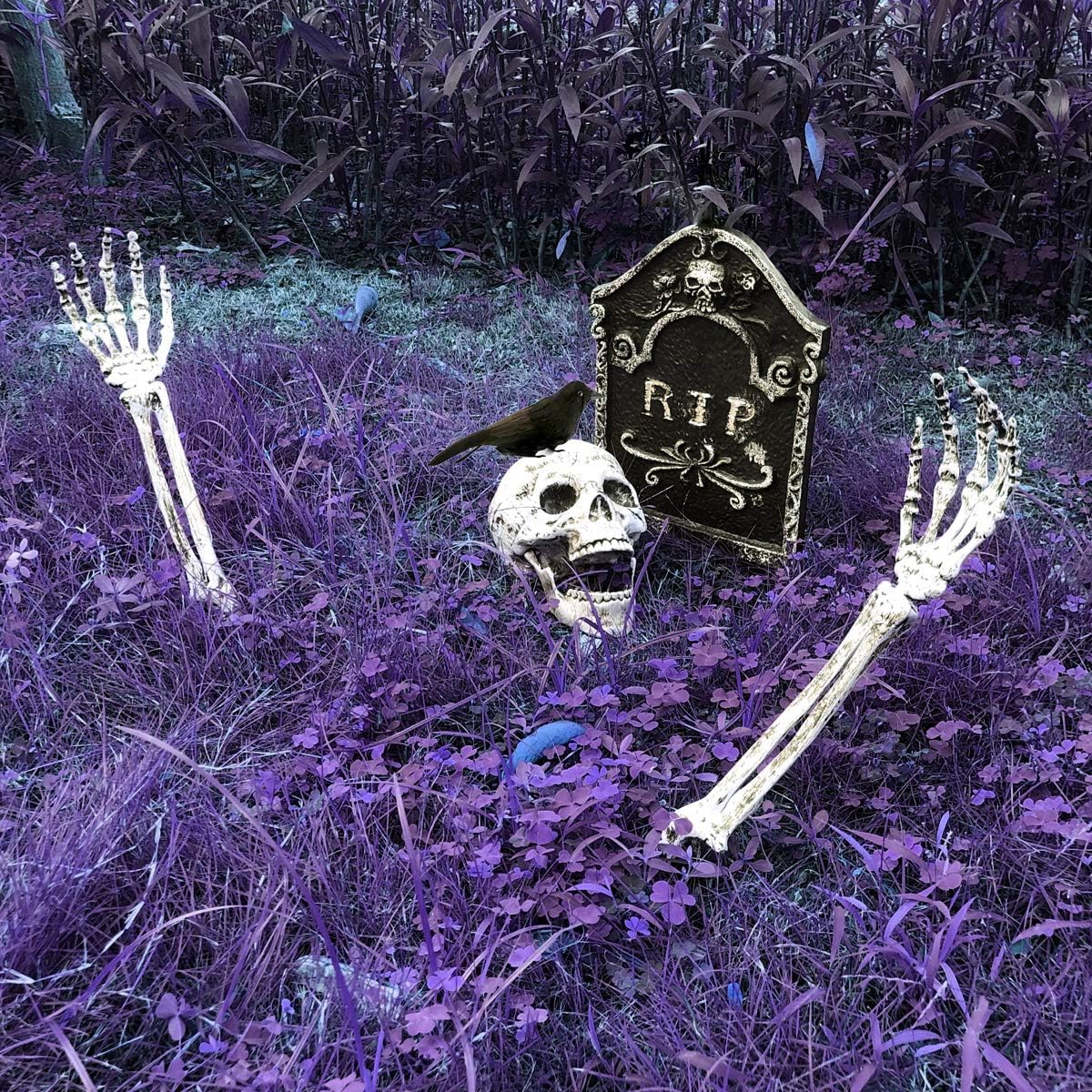 MITCIEN Skeleton Stakes for Halloween Decorations Outdoor Scary Yard Ground Breaker,Halloween Decoration Realistic Skull,Tomb,Crow for Yard Lawn: Home & Kitchen