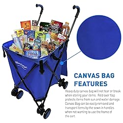 EasyGo Rolling Cart Folding Grocery Shopping Cart