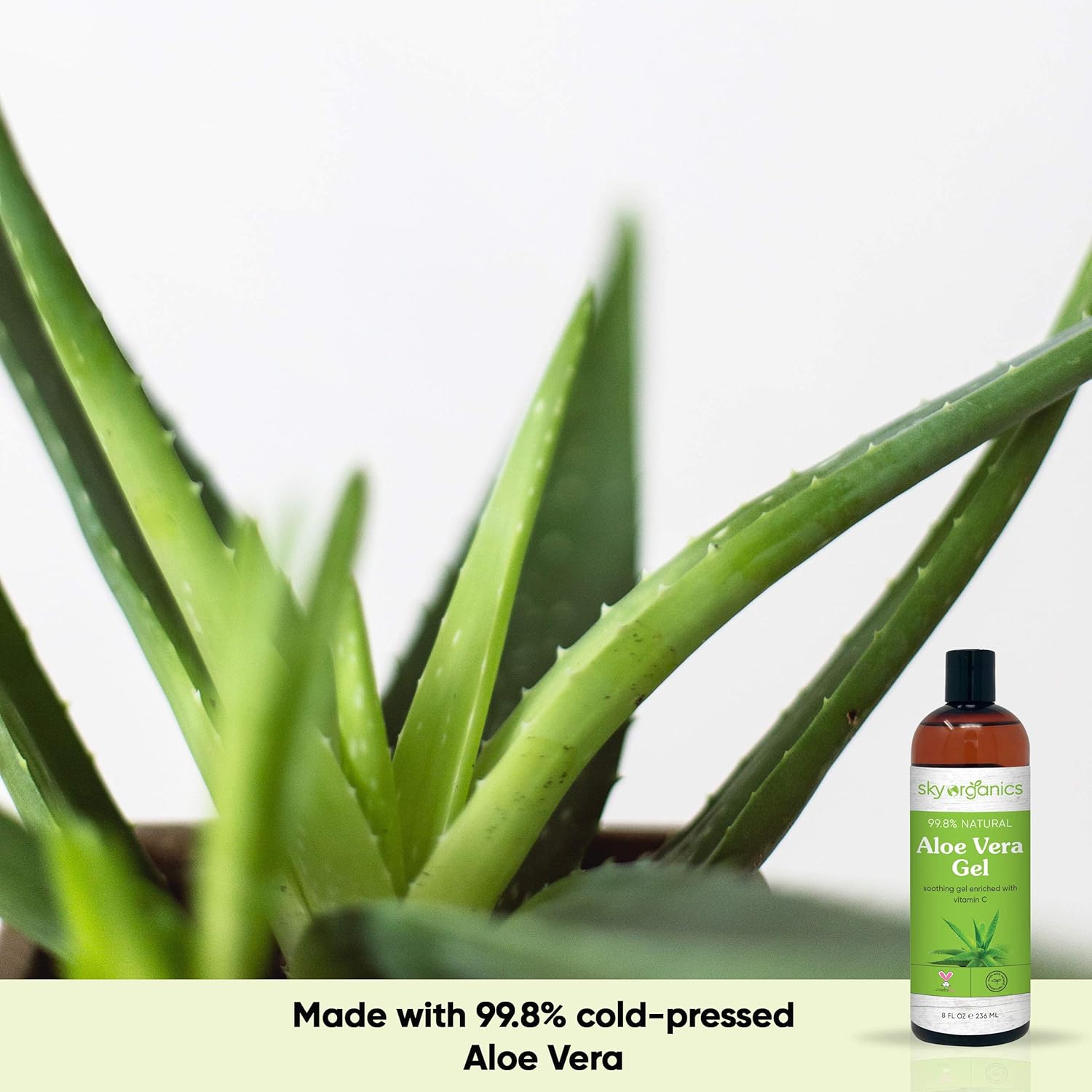 Aloe Vera Gel (8 oz) Cold-pressed Ultra Hydrating Skin Soothing Aloe Gel for Face Body After-Sun Care Aloe Gel Made in USA : Beauty