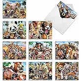 The Best Card Company - 10 Blank Animal Cards Box Set (4 x 5.12 Inch) - Bulk Assorted Pets, Horses, Wildlife Cards for Men and Women, Camp - Here's Looking at Zoo M6639OCB