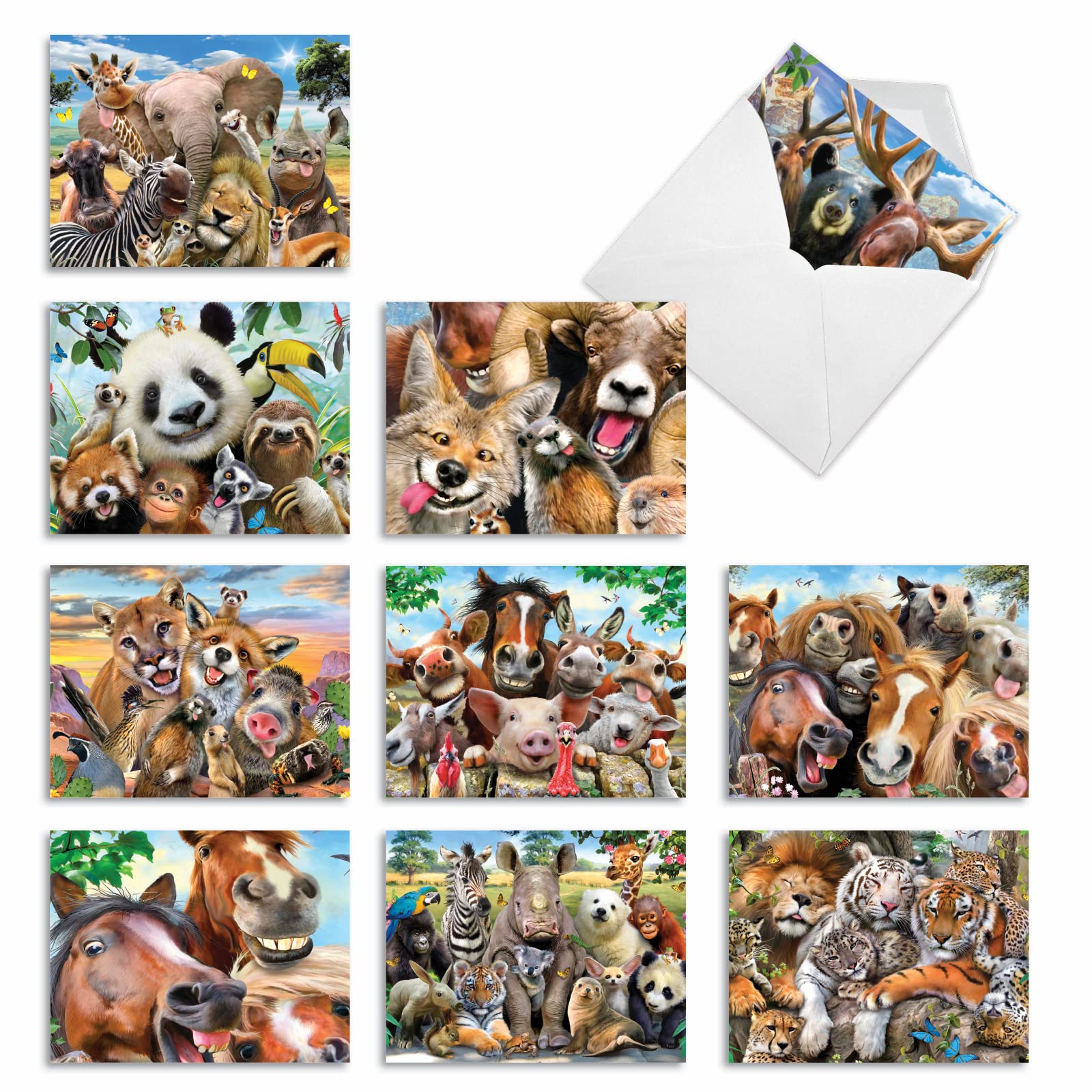 The Best Card Company - 10 Blank Animal Cards Box Set (4 x 5.12 Inch) - Bulk Assorted Pets, Horses, Wildlife Cards for Kids, Camp - Here's Looking at Zoo M6639OCB