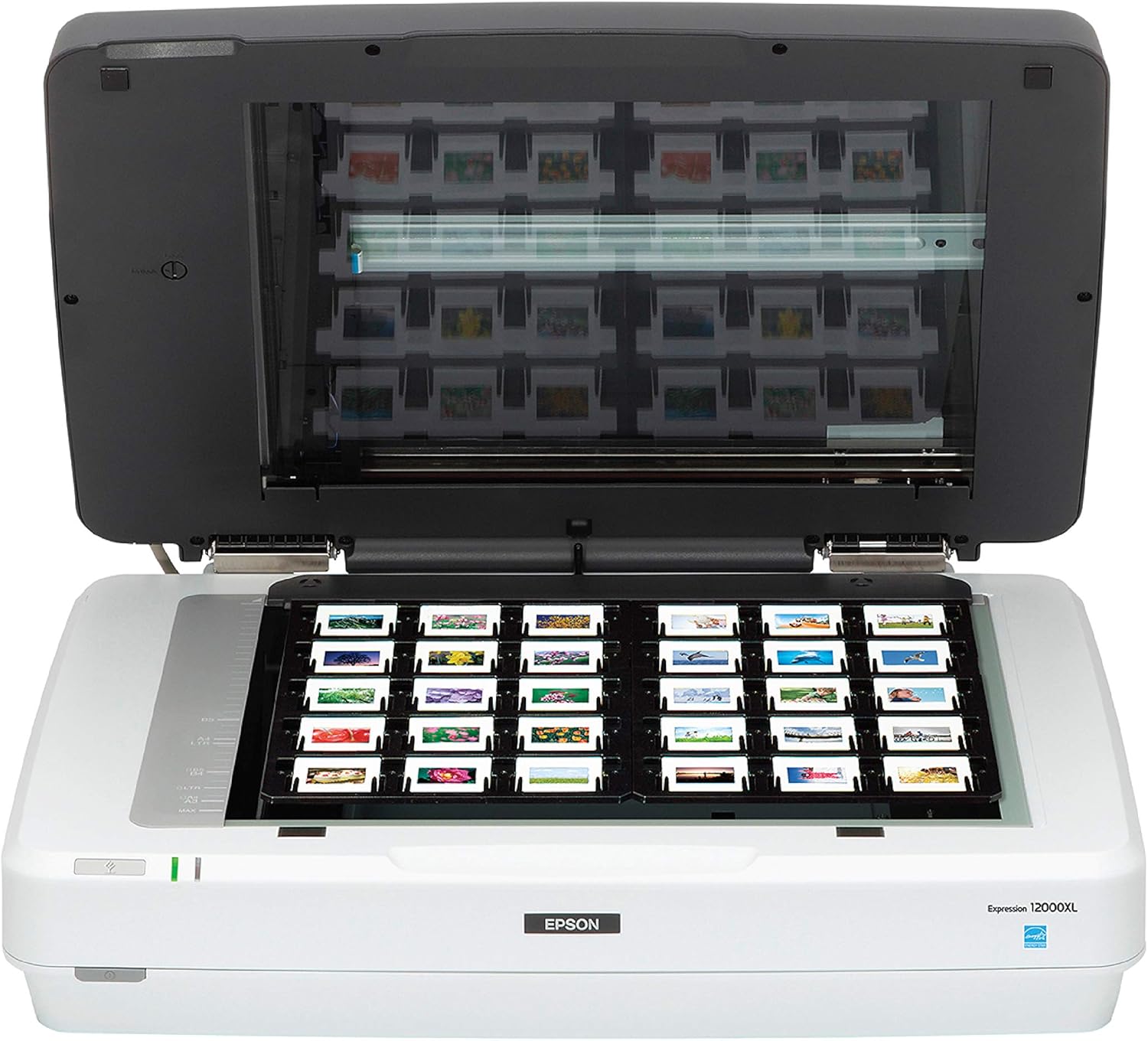 Epson Expression 12000XL-PH Flatbed Scanner: Electronics