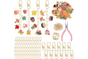AUGSUN 189Pcs Fall Keychain Making Kit, Autumn Charm Jewelry Chain Making Crafts, 60 Thanksgiving Charms 12 Keychain Clips Hooks 15 Extender Chains 100 Jump Ring and Jewelry Plier for Holiday Gifts