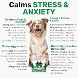 NutriPaw Calming Treats For Dogs - Non Drowsy Stress & Anxiety Aid view 7