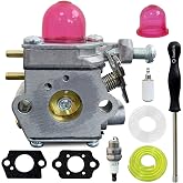 Ruixing OEM 753-06190 Carburetor for Craftsman WS2200 WC2200 WS210 WC210 Bolens BL110 BL160 Troy Bilt TB22 TB22EC TB32EC TB80EC 25cc 27cc MTD Trimmer weed eater Murray M2500 M2510 b2000 Leaf Blower