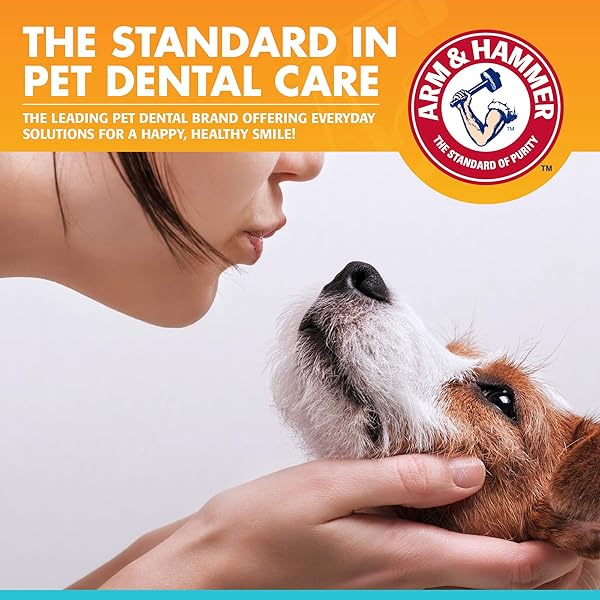 ARM & HAMMER FOR PETS FRESH BREATH KIT FOR DOGS | CONTAINS TOOTHPASTE, TOOTHBRUSH & FINGERBRUSH | REDUCES PLAQUE & TARTAR BUILDUP | SAFE FOR PUPPIES, 3-PIECE KIT, VANILLA GINGER FLAVOR