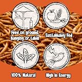 Chubby Mealworms 500g Dried High Protein Wild Bird Food Reptile Gecko Snack view 5