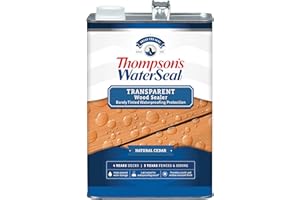 THOMPSON'S Thompson’s WaterSeal Transparent Waterproofing Wood Stain and Sealer, Natural Cedar, 1 Gallon
