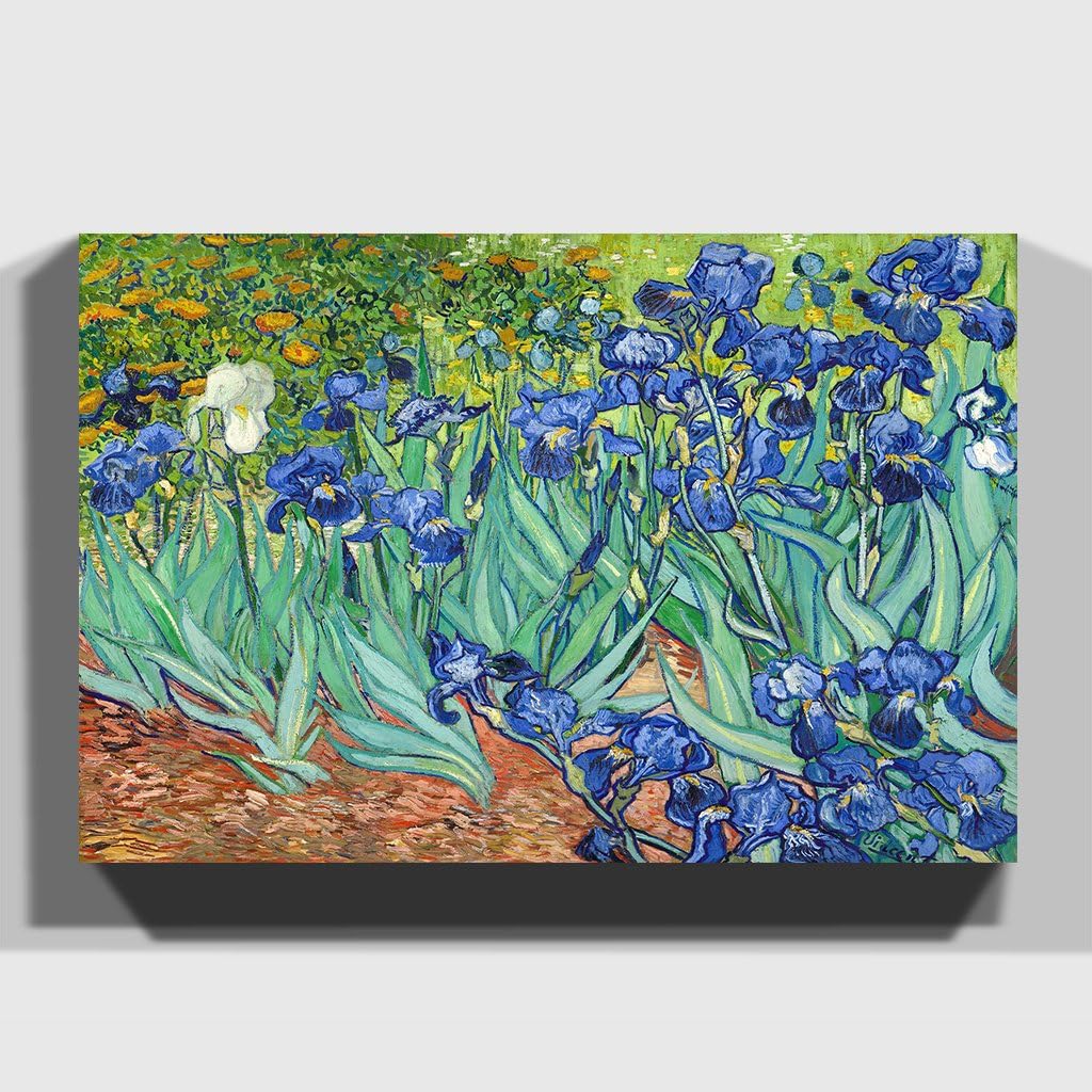 Big Box Art Print 20 x 14 Inch (50 x 35 cm) Vincent Van Gogh Iris Irises Flowers-Canvas Wall Art Picture Ready to Hang, Wood, Multi-Colour, 50 x 35 x 3 cm