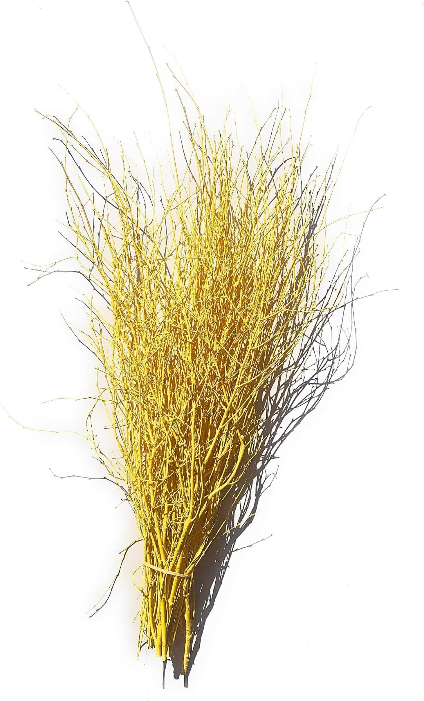 Decorative Birch Branches Yellow-25 Stems Average 90cm's