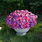 Stymedeca 24 Bundles Artificial Flowers for Outdoor Faux Plants for Spring Summer Decoration, UV Resistant Realistic Silk Plastic Fake Flowers Garden Porch Patio Balcony Yard Front Home Decor