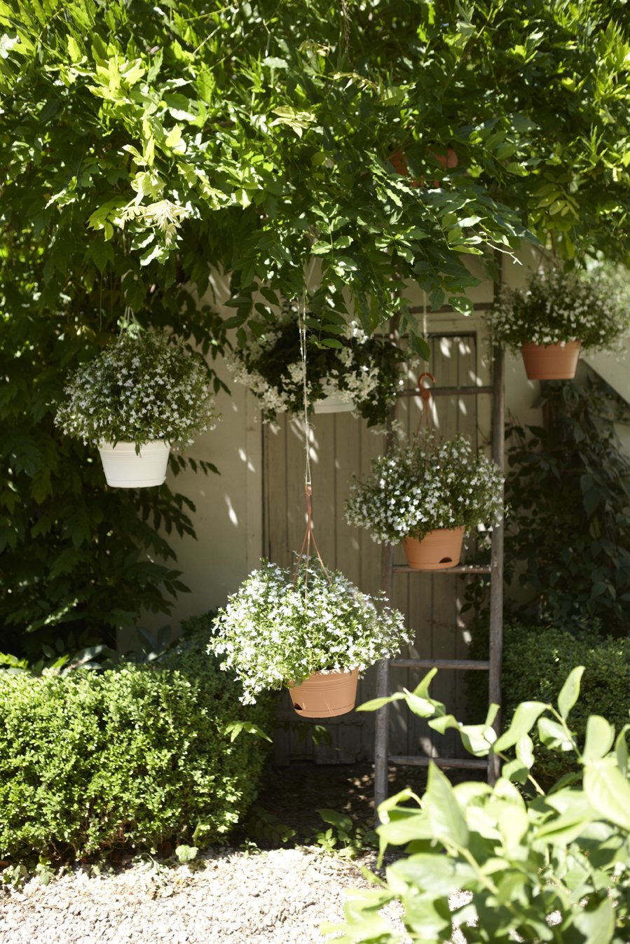 Elho Green Basics Hanging Basket Jardinera, 5.8 litros, Negro, 27 ...